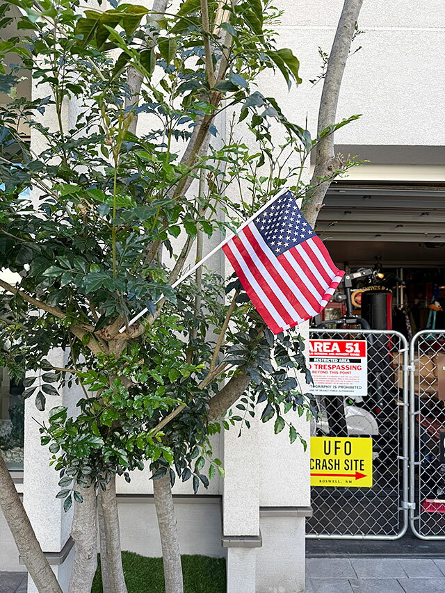 �������ò����������ȥ�å��ʡ�������������ƥ��å��ե�å���L������������ꥫ�󻨲ߡ�����ꥫ���ߡ����å���������졡����åץ���ƥꥢ