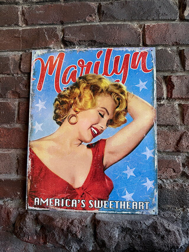 �ޥ��󡦥��������֥ꥭ���ġ��ʥ���ꥫ�󥹥����ȥϡ��ȡˡ�����ꥫ�󻨲ߡ�����ꥫ���ߡ��ǲ襰�å���������졡����åץ���ƥꥢ