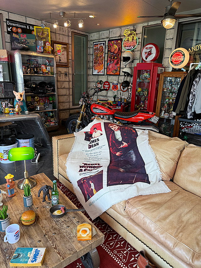 �ࡼ�ӡ��ݥ��������ޥ�����������ʥ������ॹ���ǥ�����/��ͳ�ʤ�ȿ���ˡ�����ꥫ�󻨲ߡ�����ꥫ���ߡ��ǲ襰�å���������졡����åץ���ƥꥢ