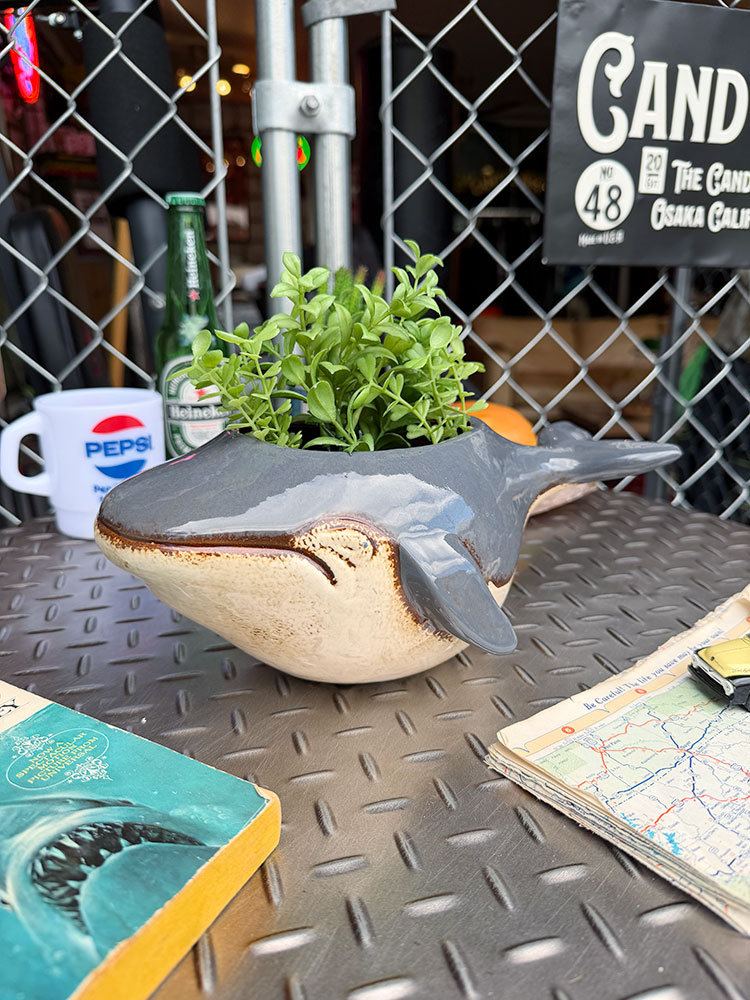 クジラ プランター 陶器製 アメリカン雑貨 アメリカ雑貨 ガーデニンググッズ ガーデニング雑貨 グリーンインテリア エクステリア 置物 オブジェ 演出 庭 おしゃれ