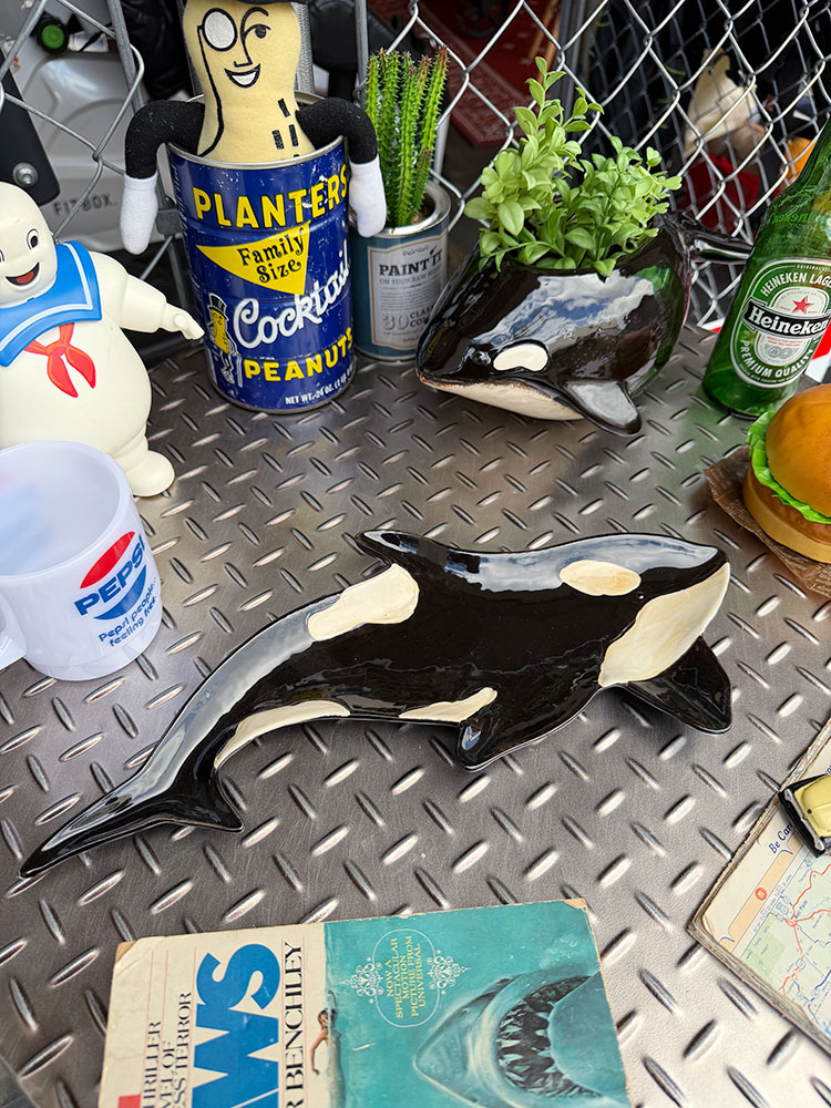 海の王者 シャチ プレート シャチのお皿 陶器製 アメリカン雑貨 アメリカ雑貨 キッチングッズ キッチン雑貨 キッチン用品 おしゃれ ショップインテリア