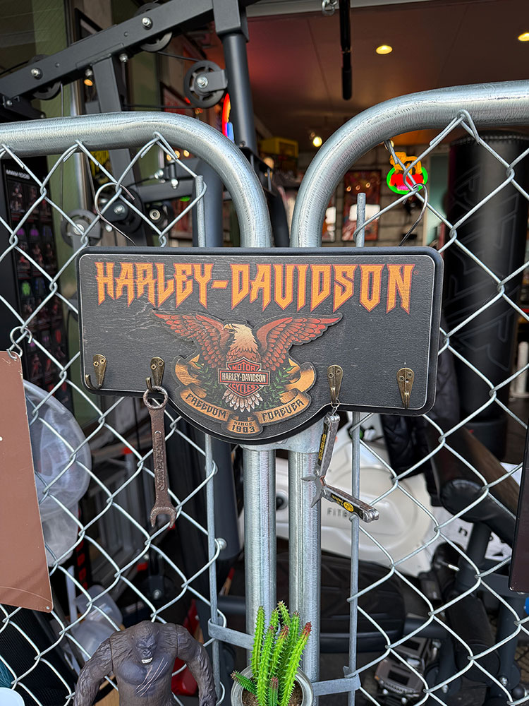 �ϡ��졼���ӥåɥ��󡡥ϡ��ɥ��å����������롡�����եå��ܡ��ɡ�������å�������ꥫ�󻨲ߡ�����ꥫ���ߡ����å���������� ���ä����������졼�����ߡ����졼����...