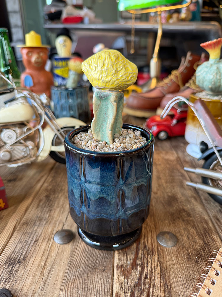 樂天商城 - ポストジェネラル　フェイク　サボテン　ザ　カクティポット　（イエロームーン）　アメリカン雑貨　アメリカ雑貨　ガーデニンググッズ　ガーデニング雑貨　グリーンインテリア　エクステリア　置物　オブジェ　演出　庭　おしゃれ　観葉植物