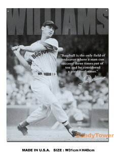 テッド・ウィリアムズ Baseball ブリキ看板 アメリカン雑貨 アメリカ雑貨 グッズ
