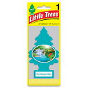 リトルツリー (レインフォレストミスト) Little Trees MADE IN U.S.A. アメリカン雑貨 アメリカ雑貨 グッズ