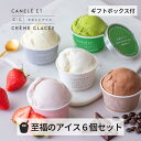 アイス 夏ギフト お中元 カヌレとアイス 至福のアイス 6個入 アイスクリーム 美味しい かわいい おしゃれ 高級 人気 ギフト プレゼント