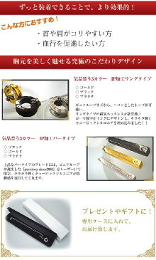 純チタン 磁気ネックレス　(ピュアループオズ)　IP加工　リングタイプ　プラチナ