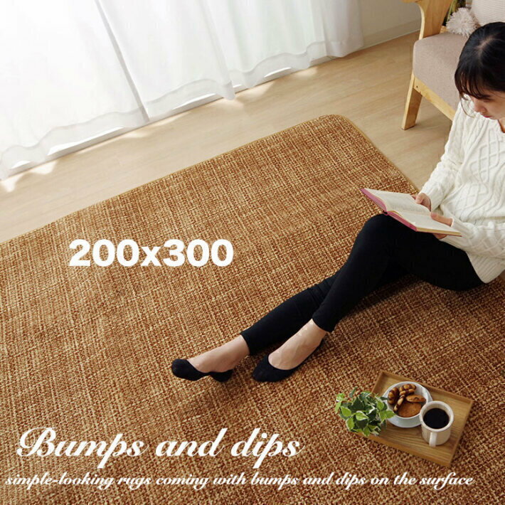 ラグ 洗える ラグマット おしゃれ 200x300 カーペット 北欧 手洗いOK 3.5畳 可愛い オールシーズン マット 長方形 シャギーラグ 夏 冬 ウォッシャブル ホットカーペット対応 床暖房対応 夏用 レトロ シンプル 無地 絨毯