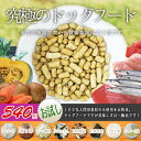 500円！究極の無添加ドッグフードお試しセット鶏肉ベース スタンダードタイプ100g×1パックドッグフード/無添加ドッグフード/アレルギー/国産/小型犬/中型犬/大型犬/ドライフード