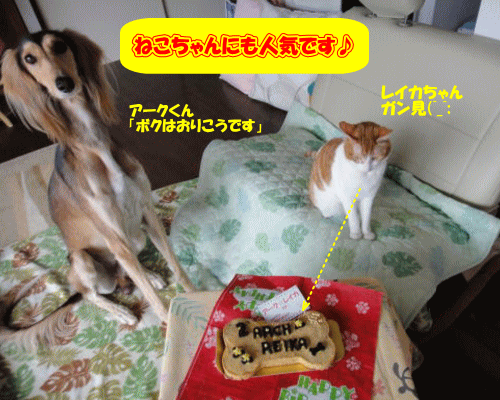 【愛犬用ケーキ】チキンミートローフケーキL犬用ケーキ/犬 ケーキ/犬 誕生日 ケーキ/犬 バースデイケーキ/ドッグフード/犬用誕生日ケーキ/無添加/手作り