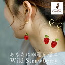 【11周年★最大1200円OFF】ゆらゆら揺れるかわいいワイルドストロベリー 野いちご フックピアス 金属アレルギー対応 ステンレス製 春 赤い実 ロング 大ぶり