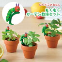 はらぺこあおむし もぐもぐガーデン栽培セット ハーブ 野イチゴ ワイルドストロベリー レモンバーム オレンジバーム 栽培 家庭菜園 育てる 食育 自由研究