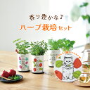 ハーブ 栽培キット Grow Flavor 育てるフレーバー 栽培 セット おしゃれ かわいい プレゼント ギフト 贈り物 誕生日 観葉植物 初心者 herb ...