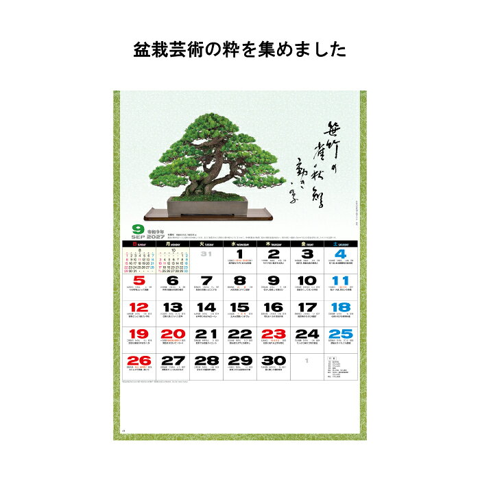 カレンダー 2027 壁掛け 一木一草 NK91 カレンダー 2027年 壁掛け おしゃれ 盆栽 ...