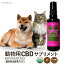 ڥå CBD ץ CANNIMAL ˥ޥ EVA's BLEND Х֥ 50ml CBD ưʪ ʼ ˥å CBD OIL ץ  ǭ  ͥ  إ ʥӥΥ