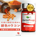 沖縄ウコン販売 沖縄産100% 春ウコン粒100g(100mg×1000粒)×3個 沖縄 健康維持