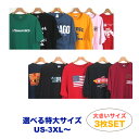 希少な特大サイズ！送料無料＆税込5000円ポッキリ アメリカ買付のUSプリントTシャツ おまかせ3枚セット！ 選べるサイズ 3XL or 4XL 3枚セット！ 激安 アソート アメリカ古着 USED 大きいサイズ BIGサイズ set-t0002 あす楽対応 【中古】