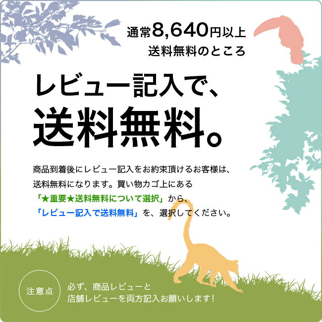 トーツ 折りたたみ傘 A254 AOCチタニウム オートマチック オープン＆クローズ チタニウム レインフォース|傘|自動開閉|日傘|UV対策|晴雨兼用|折畳|キャノピー|totes|送料無料||雨具|レイングッツ|かさ|カサ|おりたたみ|携帯|メンズ|レディース|大き目|時雨兼用傘|折り畳み傘