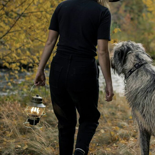 ベアボーンズリビング レイルロードランプLED Barebones Living Railroad Lantern 20230010 LEDランタン ライト 証明 USB 充電式バッテリー おしゃれ かわいい アンティーク レトロ 野外 照明 災害 防災 レイルロードランタンLED キャンプギア アウトドア 【正規品】通販格安セール情報　楽天　通販