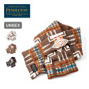 ペンドルトン マフラー メンズ ペンドルトン UCダウンマフラー PENDLETON UC Down Muffler メンズ レディース ユニセックス 19807330 ストール マフラー キルティング フリース 防寒 ギフト おしゃれ キャンプ アウトドア