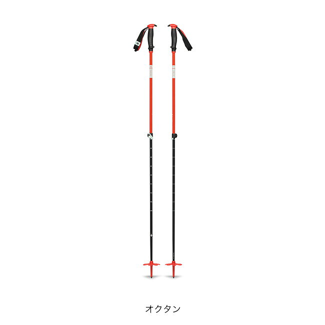 �֥�å���������� �ȥ�С��� �������ݡ��� Black Diamond Traverse Ski Poles BD42151 �ݡ��� �Хå�����ȥ꡼ ������ ���Ρ������ƥ��ӥƥ� �㻳 ������� ������ �����ȥɥ�