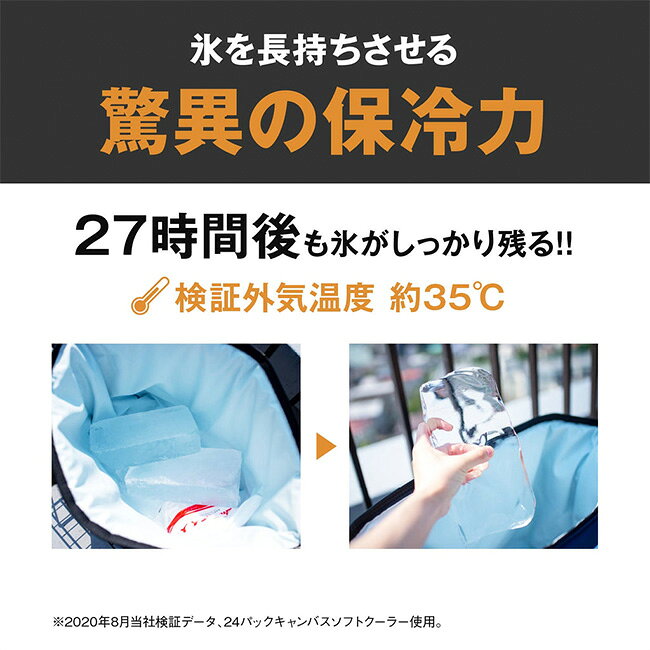 �������������顼�� 12�ѥå� �����Х� ���եȥ����顼 AO Coolers 12Pack Canvas Soft Cooler �����顼�ܥå��� �����顼�Хå� �ȡ��ȷ� 11L ����Хå� ���� �����䤹�� ���� ������ ��� �ե��å��� ������� ������ �����ȥɥ�