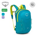 オスプレー ジェット 12 OSPREY キッズ 子供 OS50296 バック カバン 鞄 リュック リュックサック バックパック サブバック スタッフサック ザック テクニカル 登山 おしゃれ キャンプ アウトドア(4)