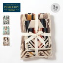 ペンドルトン 3Pタオルセット PENDLETON 19372104 タオル バスタオル ハンドタオル 贈り物 ハンカチ 携帯 トラベル 旅行 ギフト おしゃれ キャンプ アウトドア