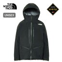 ザ・ノース・フェイス ノースフェイス RTGゴアテックスジャケット ユニセックス THE NORTH FACE RTG GORE-TEX Jacket メンズ ...