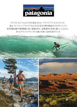 パタゴニア マイクロDゲイター patagonia Micro D® Fleece Gaiter メンズ レディース 【送料無料】 ネックウォーマー ゲイター 首 防寒 防風 冬 秋 通勤 通学 フリース 17FW