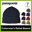 パタゴニア フィッシャーマンズロールドビーニー Patagonia Fisherman's Rolled Beanie 【送料無料】 メンズ レディース 帽子 ビーニー ワッチ ニット帽 小物 おしゃれ シンプル ロゴ アウトドア キャンプ フェス イベント 防寒 防風 かゆくない <2017FW>