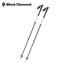 ブラックダイヤモンド エクスペディション 3 Black Diamond EXPEDITION 3 BD42120 トレッキングポール スキーポール ポール 3段 4シーズン トレイル バックカントリー ＜2019 秋冬＞