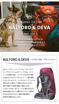 グレゴリー ディバ60 GREGORY DEVA 60 レディース バックパック リュック ザック 登山用リュック 60L アウトドア ＜2020 春夏＞