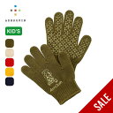 【SALE Max15%OFF】アクシーズクイン ノームジュニアグローブ AXESQUIN Gnome Junior Glove キッズ ジュニア 013068...
