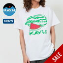 【SALE 20%OFF】カブー ウォーターメロンTee KAVU 19822254 メンズ 半袖 Tシャツ ティシャツ カットソー トップス おしゃれ キャンプ アウトドア