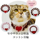 【送料無料】手編み 猫 首輪【コットン バレンタイン ハート首輪】 猫用 猫用首輪 猫首輪 ねこ首輪 犬首輪 いぬ首輪 おしゃれ ねこハゲない ハゲにくい ハン...