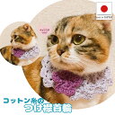 【送料無料】手作り 猫 首輪【つけ襟 コットン パープル】猫用 猫用首輪 猫首輪 蝶ネクタイ ねこ首輪 犬首輪 いぬ首輪 おしゃれ ねこ 鈴 紫 むらさき 犬 ...