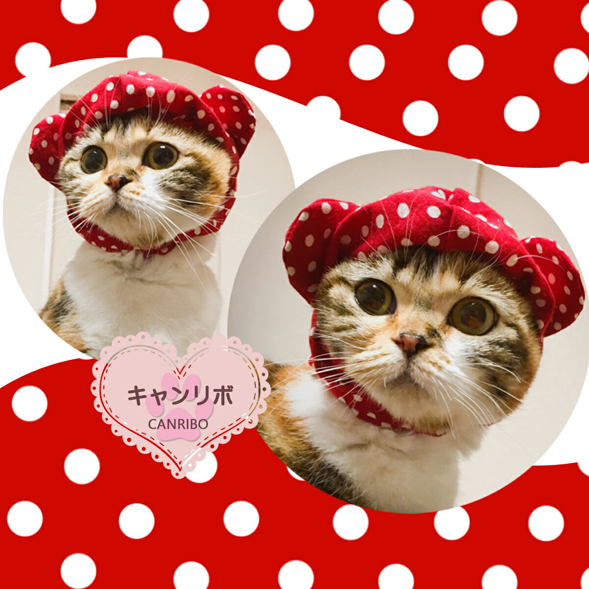 【送料無料】猫用 猫帽子 ネコ帽子 すっぽり帽子 くまさん【S】ネコ用帽子 犬帽子 犬用帽子 ペットウェア猫首輪 ねこ首輪 犬首輪 いぬ首輪 猫 犬 ねこ いぬ おしゃれ 熊 安全 かわいい 可愛い 子猫 成猫 子犬 小型犬 中型犬 保護