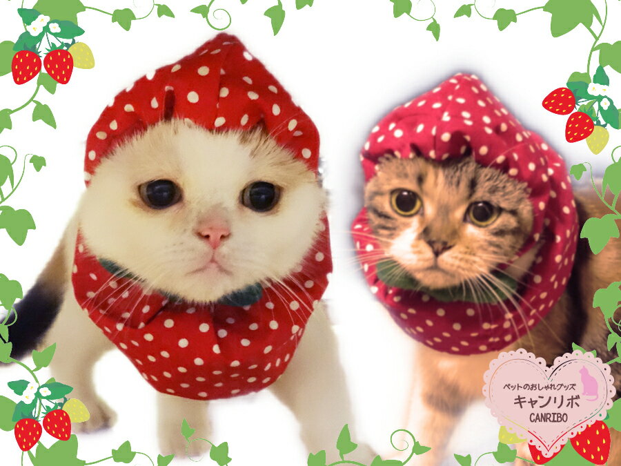 【送料無料】猫用 猫帽子 ネコ帽子 すっぽり帽子 苺2点セット【L】ネコ用帽子 犬帽子 犬用帽子 ペットウェア猫首輪 ねこ首輪 犬首輪 いぬ首輪 猫 犬 ねこ いぬ おしゃれ いちご イチゴ 安全 かわいい 可愛い 子猫 成猫 子犬 小型犬 中型