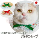 【送料無料】手作り 猫 首輪【パッチンケープ ストロベリー ガーデン】猫用 猫用首輪 猫首輪 ねこ首輪 犬首輪 いぬ首輪 おしゃれ ねこ 鈴 緑 苺 イチゴ 安...