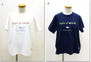 ●快晴堂　【かいせいどう】　ロゴTシャツ「旅からの便り」　半袖UNI Tシャツ　D柄　オリエントへ飛行　41C-116