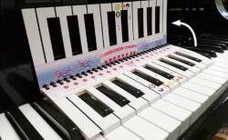 ピアノにおうと すぐひけるん お取り寄せ商品 ピアノ発表会 記念品 に最適 音楽雑貨 ねこ雑貨 バレエ雑貨 記念品に最適 音楽会粗品