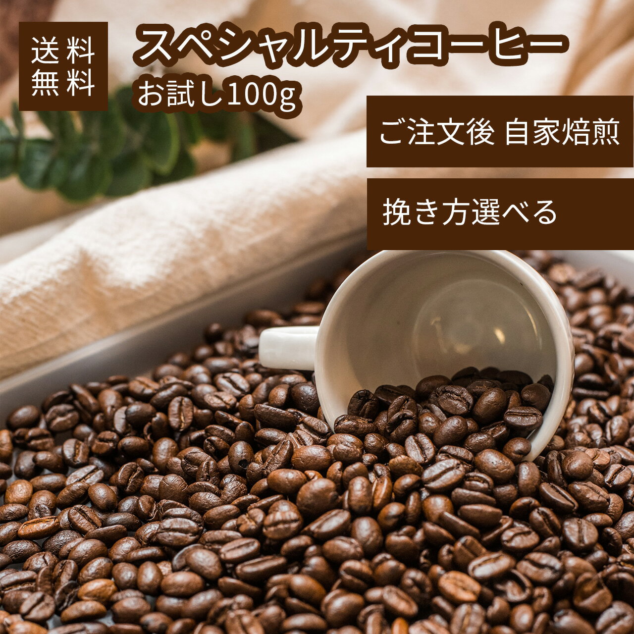 [送料無料][お試し100g] ペルー レッドコンドル スペシャルティコーヒー コーヒー豆 珈琲豆