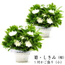 お供え 花【一対セット】菊としきみ・しきびのアレンジ(小)2個組 お悔やみ 四十九日 一周忌 三回忌 法要