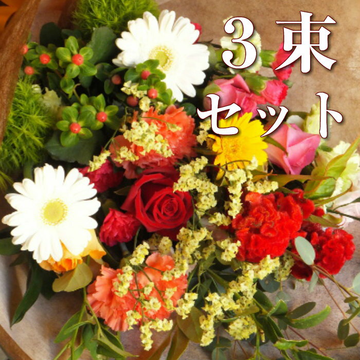 【3束セット】季節のおまかせ花束 Lサイズ