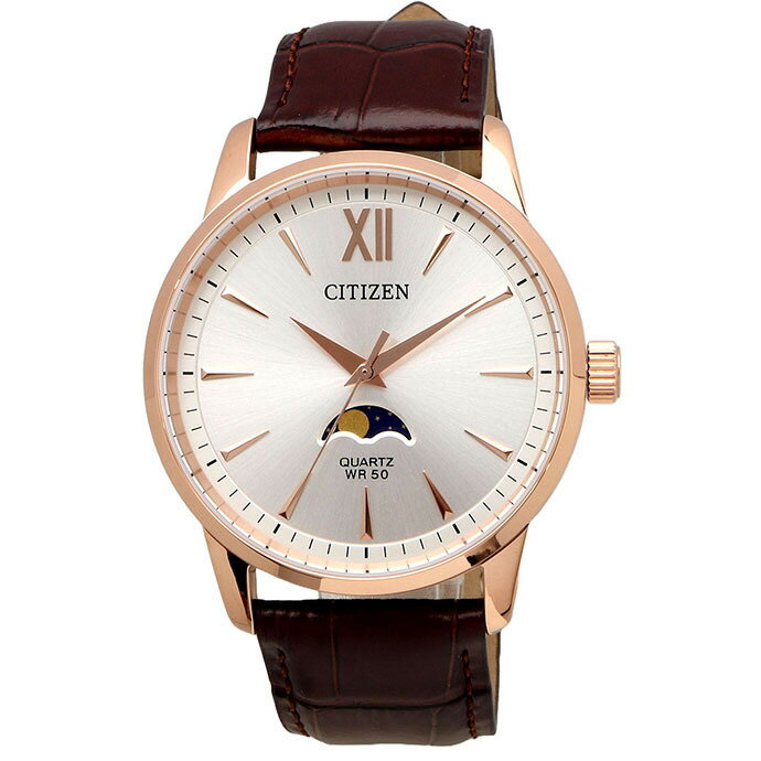 シチズン 腕時計 メンズ シルバー ブラウン AK5003-05A CITIZEN