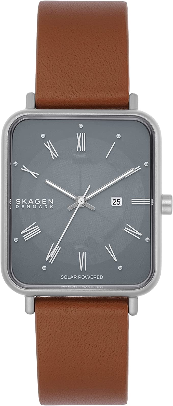 スカーゲン ビジネス腕時計 レディース スカーゲン 腕時計 レディース グレー ブラウン Ryle Solar Powered クオーツ SKAGEN SKW6847