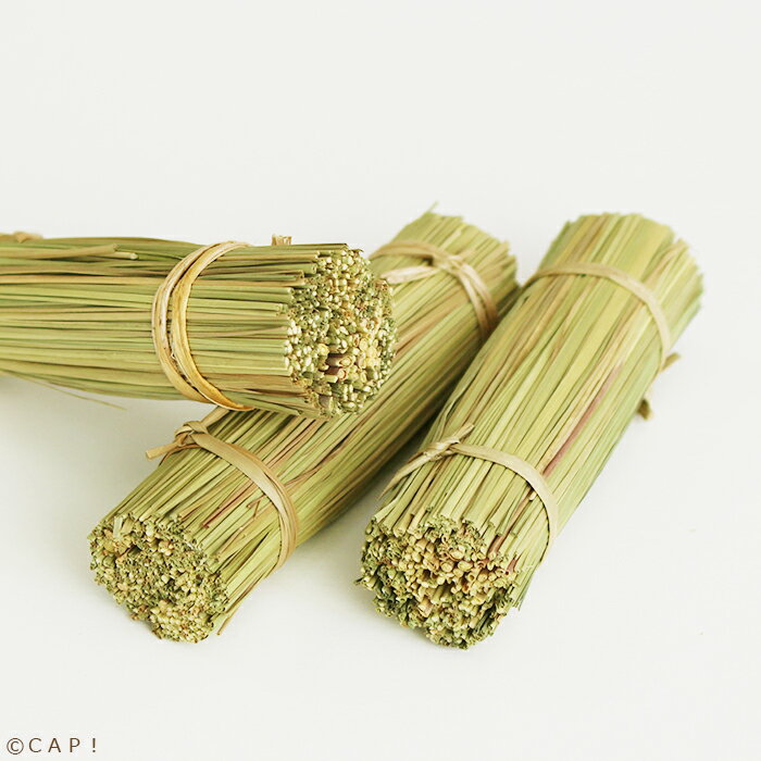 マルカン かじってチモシー