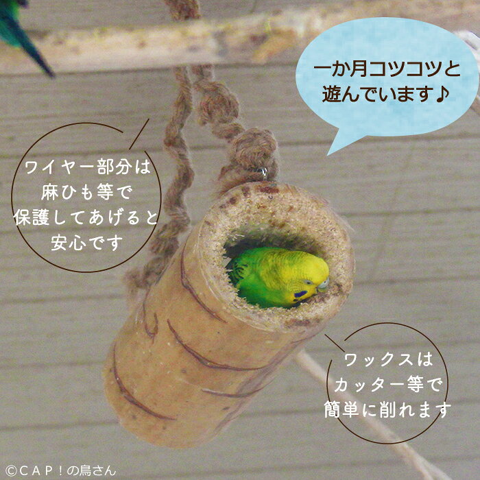 バードカバブ KOZY KEET(ナチュラル ...の紹介画像2