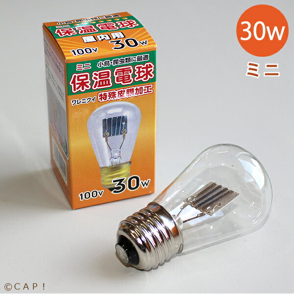 アサヒ　ミニ保温電球　30W